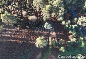 Terreno Rústico Localizado Na Póvoa De Lanhoso