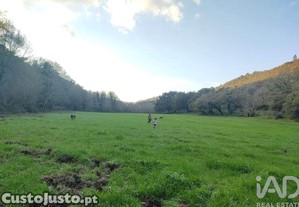 imagem_18