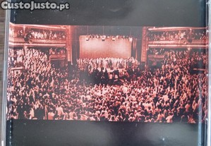 imagem_7