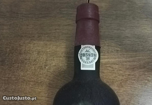 imagem_4