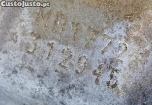 imagem_7