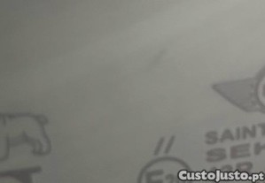 imagem_10