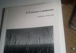 O extenso continente - António Salvado