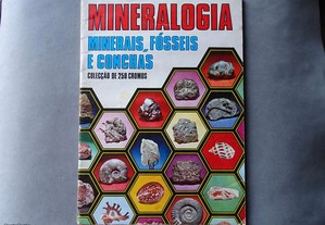 Caderneta de cromos vazia Mineralogia