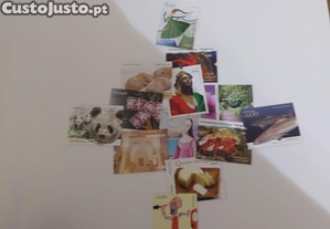 imagem_6