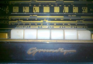 Rádio / Telefonia GRUNDIG Type 2045 WZX (Relíquia)