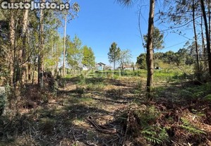 Terreno Urbano Em Jesufrei , Vila Nova De...