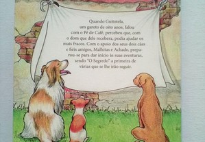 imagem_6