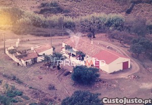 imagem_6