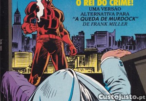imagem_6