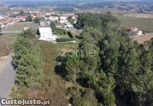 Terreno De Construção Em Balazar