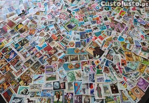 imagem_3