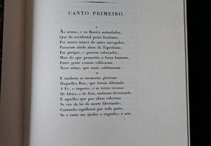 imagem_8