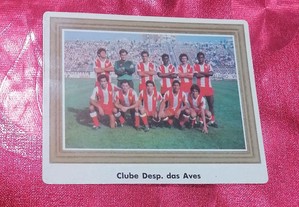 Postal equipa futebol Grupo Desportivo das Aves dos calendários coleção Cromogal
