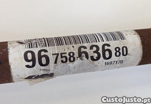 imagem_5
