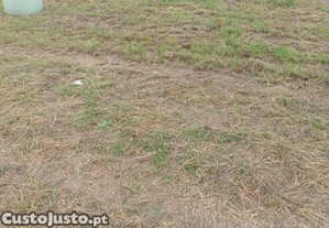 Rolos pequenos de erva boa
