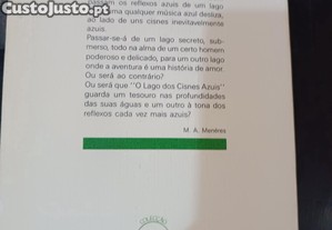 imagem_8