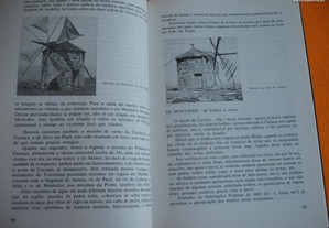 imagem_6
