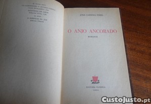 imagem_3