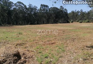 Terreno Rústico Com 8.597 M2 Em Paradela Barcelos