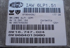 imagem_2