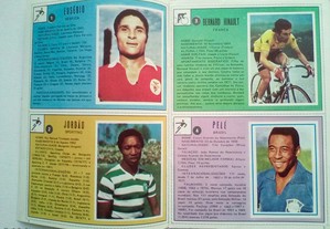 imagem_3
