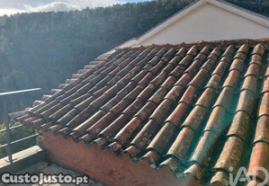 imagem_24