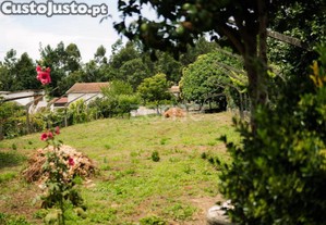 Terreno Urbano Paço De Sousa- Penafiel