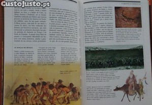 imagem_4