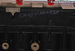 imagem_10