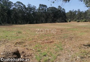 Terreno Rústico Com 8.597 M2 Em Paradela Barcelos
