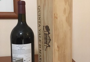 imagem_4