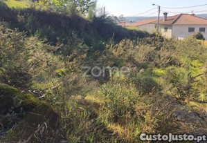 Terreno Rústico Em Arnoso Santa Eulália