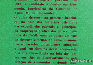 imagem_4
