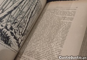 imagem_4