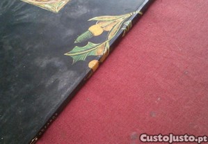 imagem_3