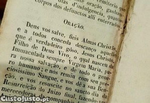 imagem_6