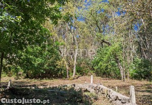 Terreno Com Potencial De Construção - Fajões,...
