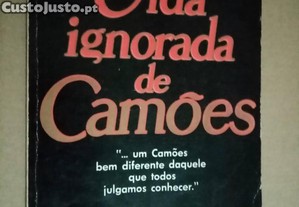 imagem_7