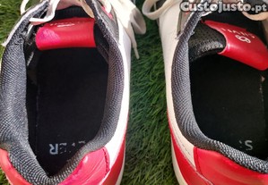 imagem_8