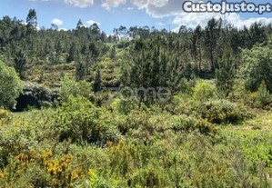 Terreno Urbano Em Caxarias