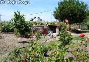 imagem_32