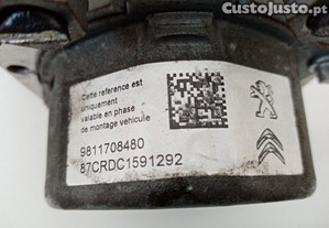 imagem_10