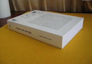 imagem_8