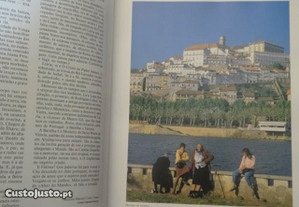 imagem_3