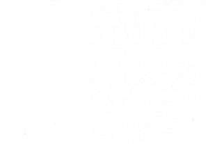 imagem_8
