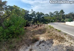 Terreno Urbanizável Com Mais De 8500M2 Nos...