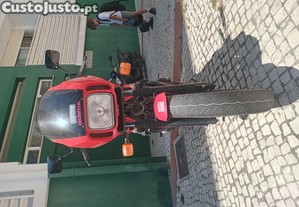 imagem_3