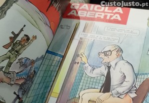 imagem_12