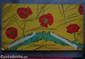 imagem_4